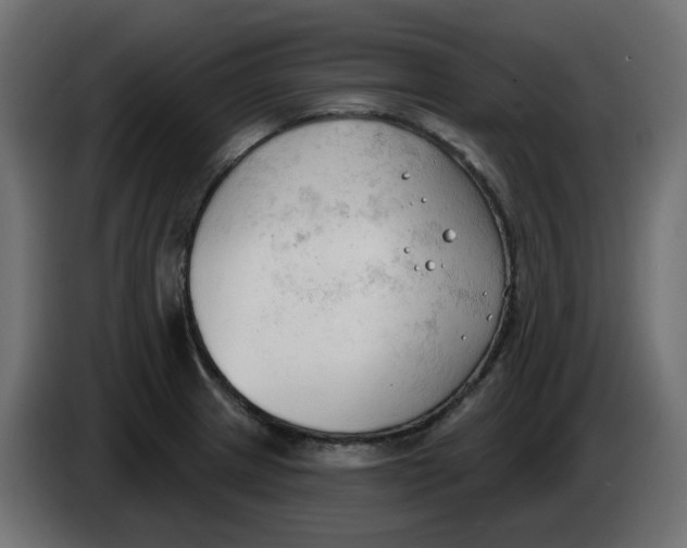 X0000086001233200704131758