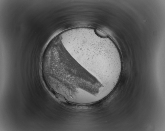 X0000086001235200704131758