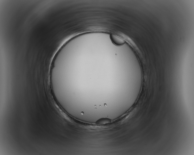 X0000086001236200704131758