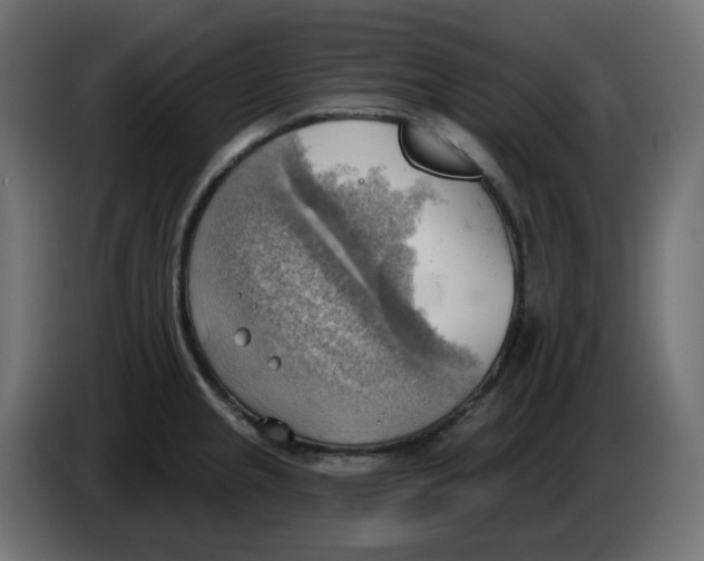 X0000086001237200704131758