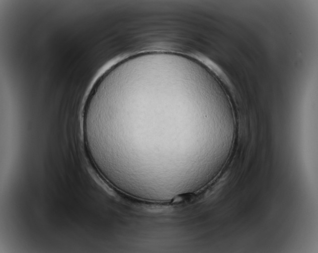 X0000086001238200704131758