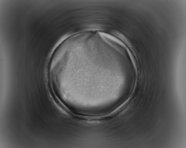 X0000086001243200704131758