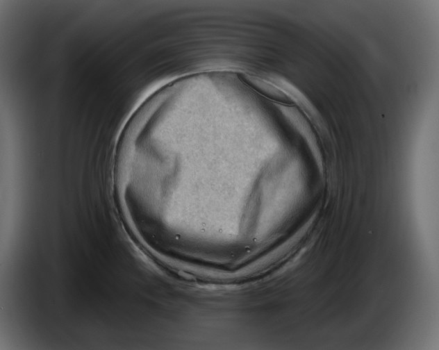 X0000086001244200704131758