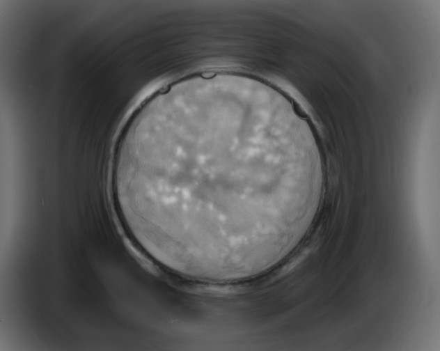 X0000086001245200704131758