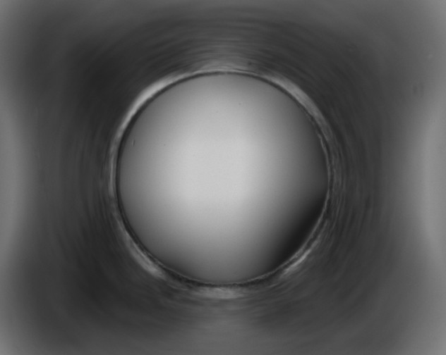 X0000086001246200704131758