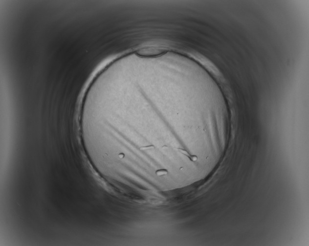 X0000086001248200704131758