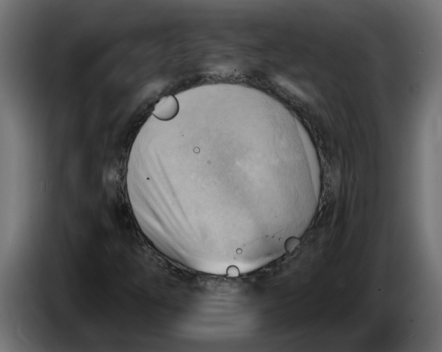 X0000086001254200704131758