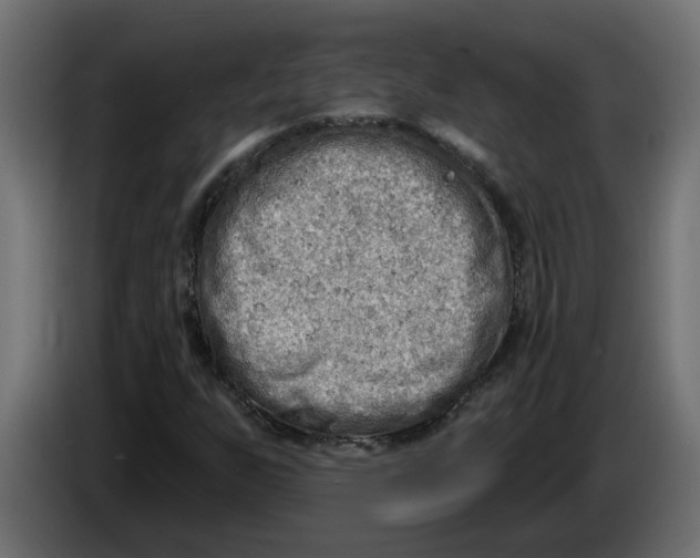 X0000086001255200704131758