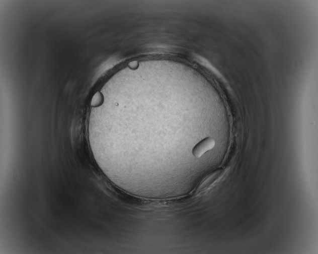 X0000086001259200704131757