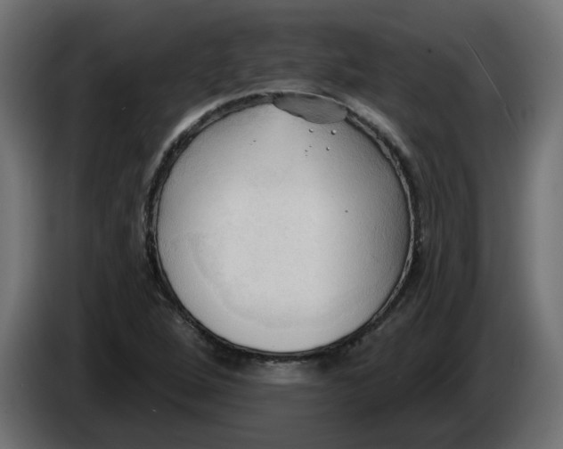 X0000086001264200704131757