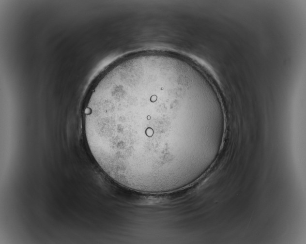 X0000086001271200704131757