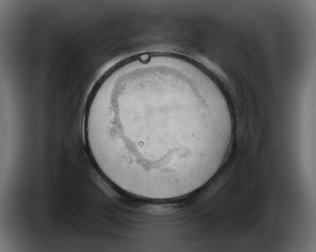 X0000086001272200704131757