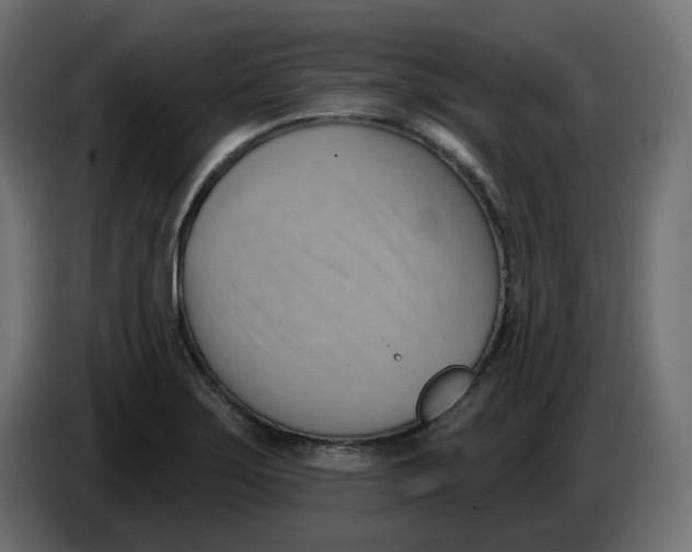 X0000086001275200704131757