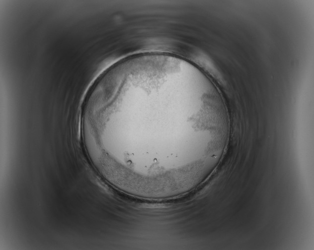 X0000086001276200704131757