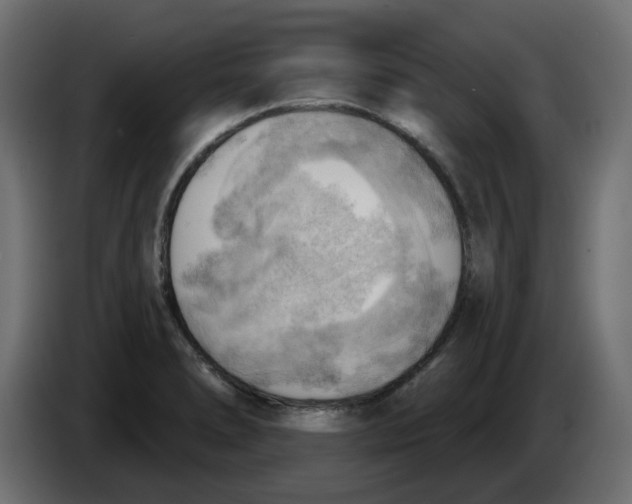 X0000086001278200704131757