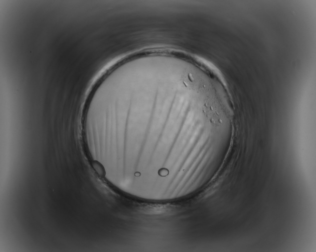 X0000086001279200704131757