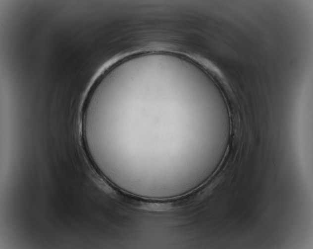 X0000086001280200704131757