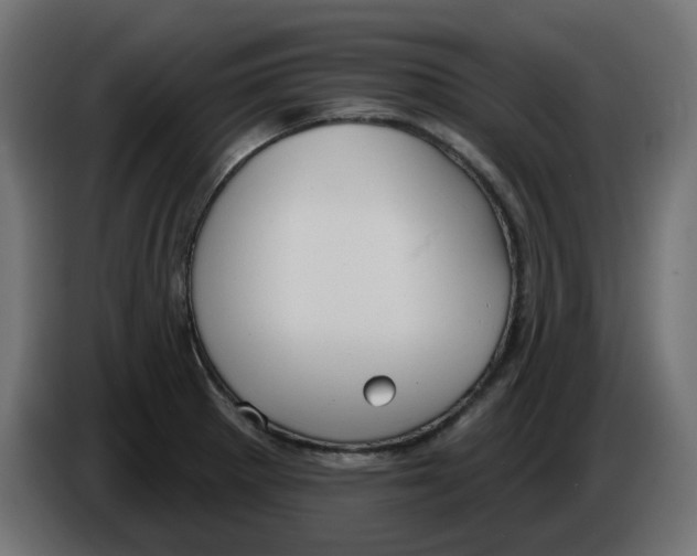 X0000086001281200704131757