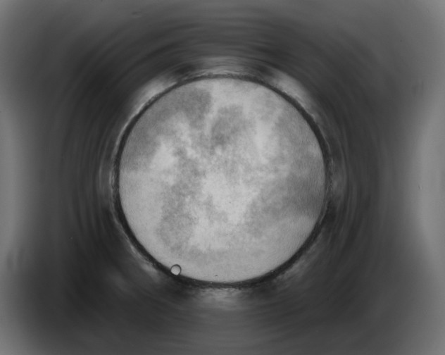 X0000086001282200704131757