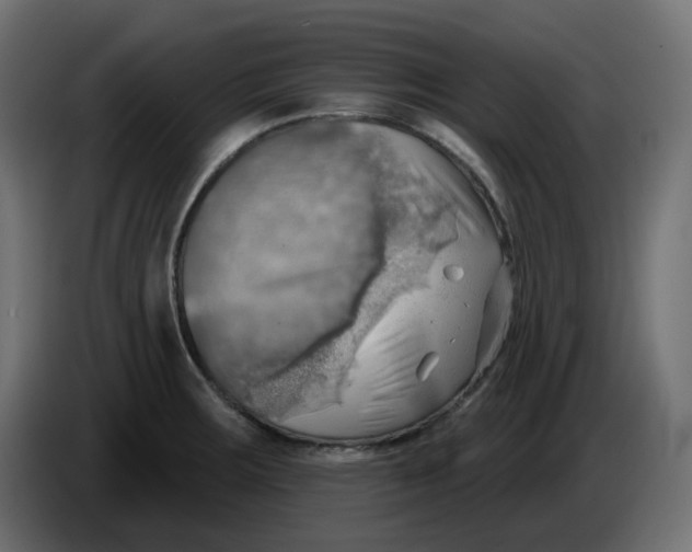 X0000086001283200704131757