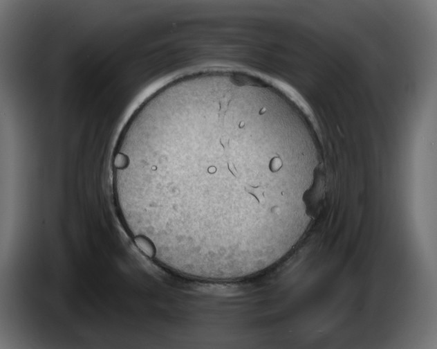 X0000086001287200704131757