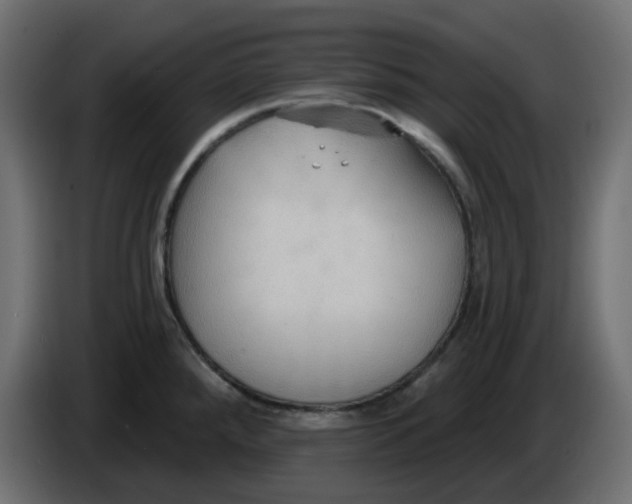 X0000086001288200704131757