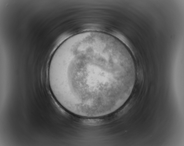 X0000086001290200704131757