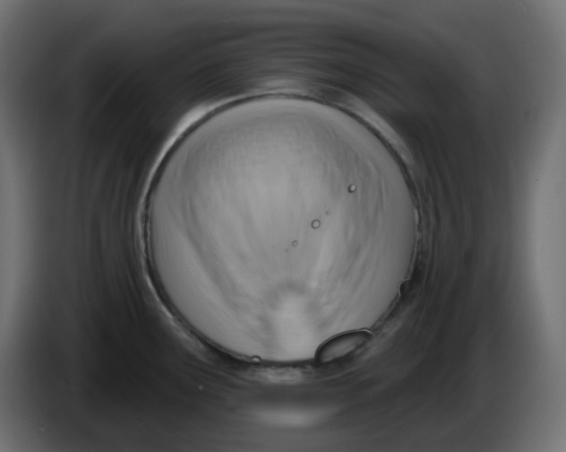 X0000086001291200704131757