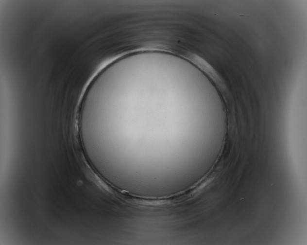 X0000086001292200704131757