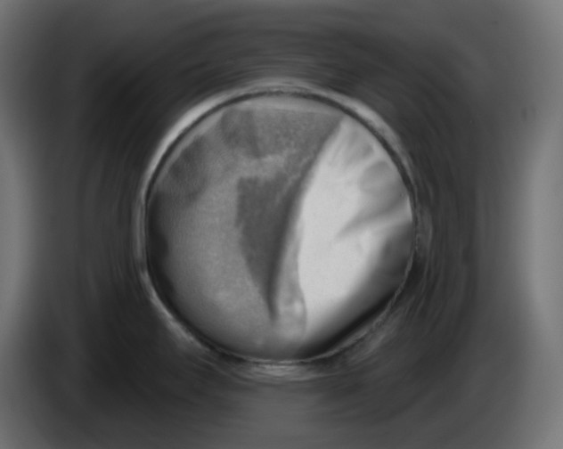 X0000086001295200704131757