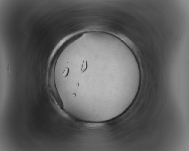 X0000086001296200704131757