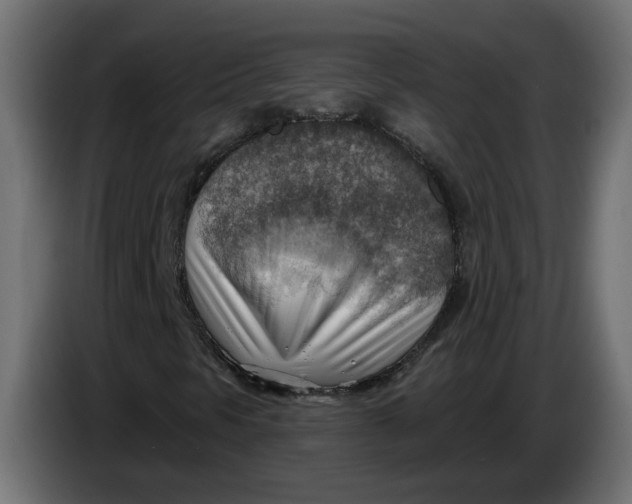 X0000086001297200704131756