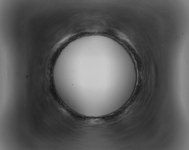 X0000086001304200704131756