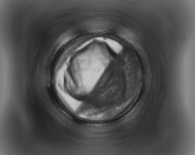 X0000086001306200704131756