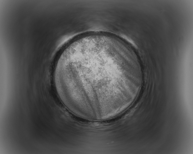 X0000086001311200704131756