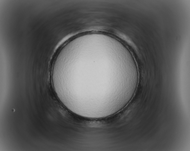 X0000086001316200704131757