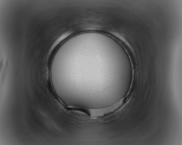 X0000086001317200704131757