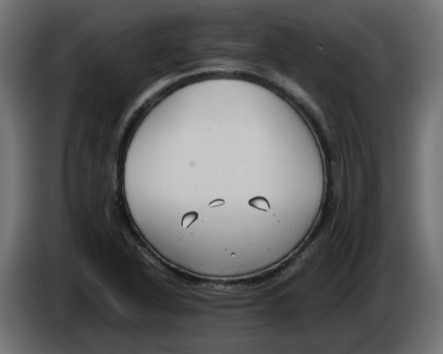 X0000086001318200704131757