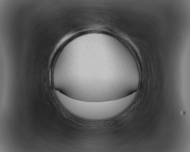 X0000086001320200704131757