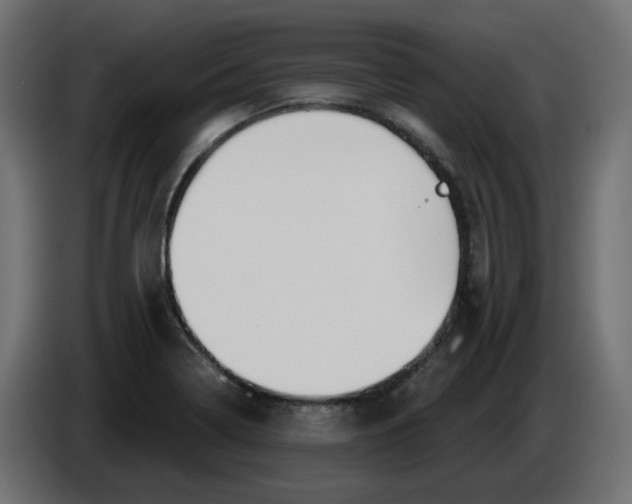 X0000086001322200704131757