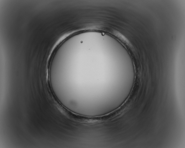 X0000086001324200704131757