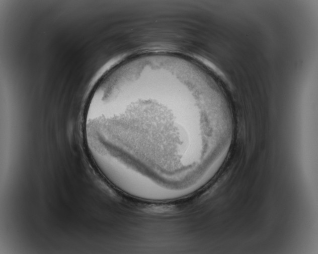 X0000086001325200704131757