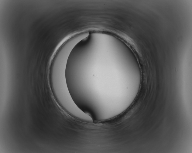 X0000086001326200704131757