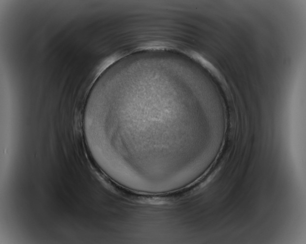 X0000086001329200704131757