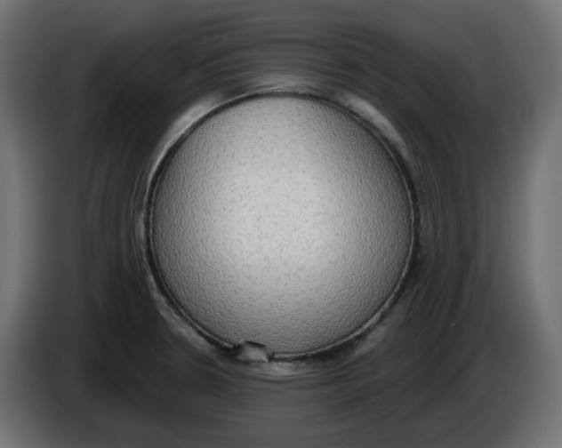 X0000086001330200704131757