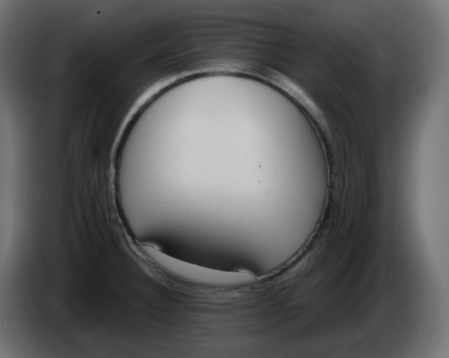 X0000086001332200704131757