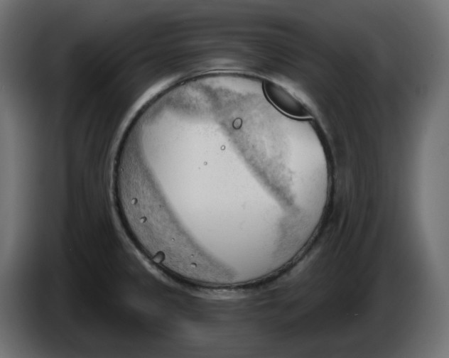 X0000086001333200704131757