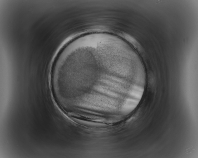 X0000086001334200704131757