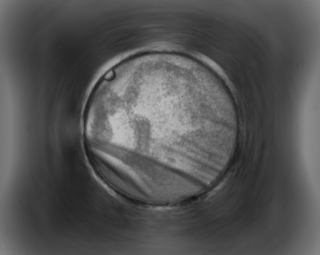 X0000086001335200704131757