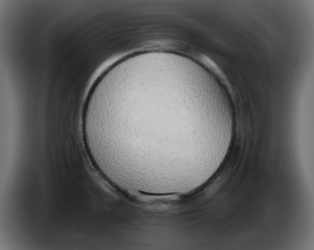 X0000086001336200704131757